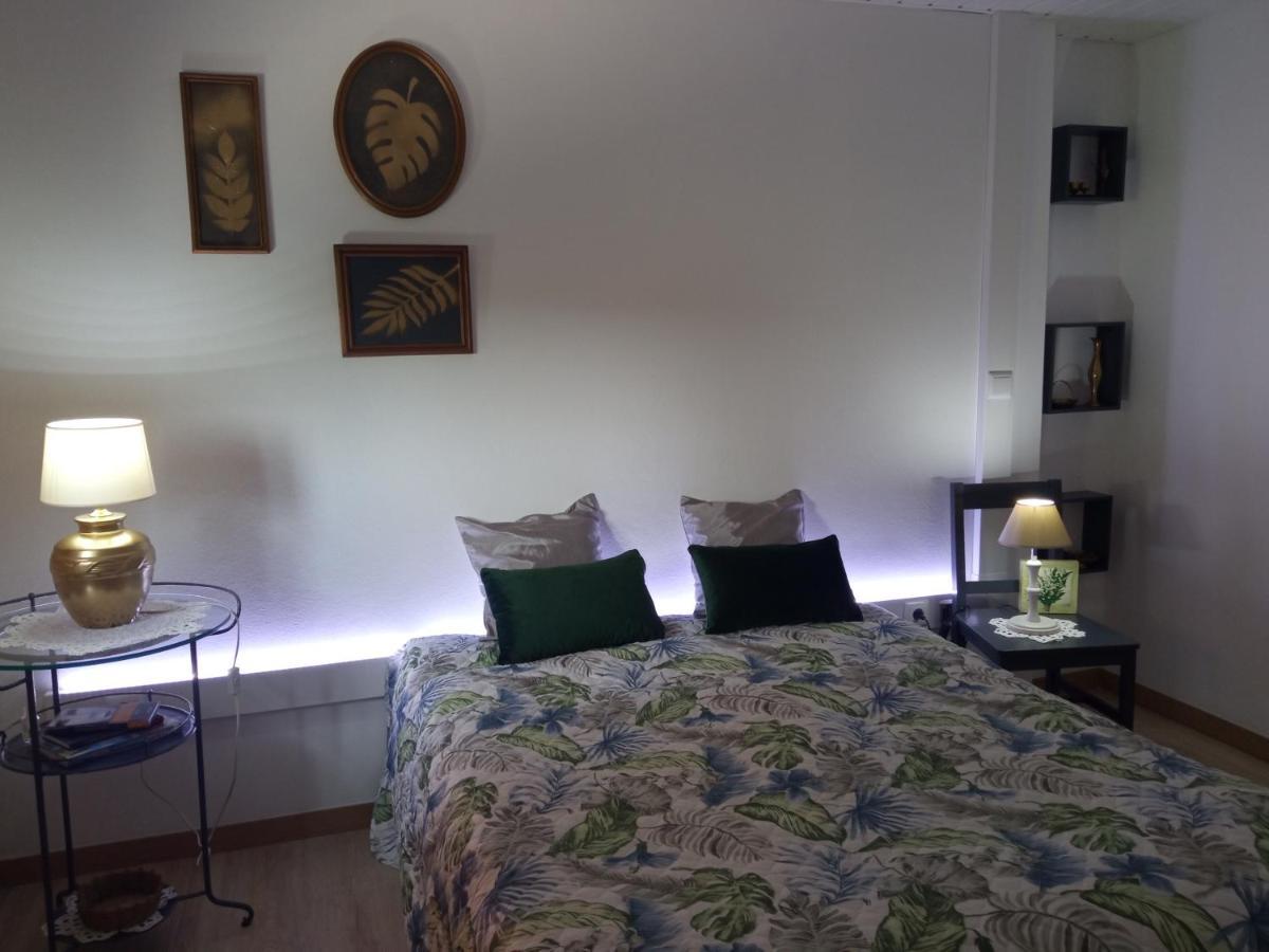 Azevinho Guest House Seia Exterior photo